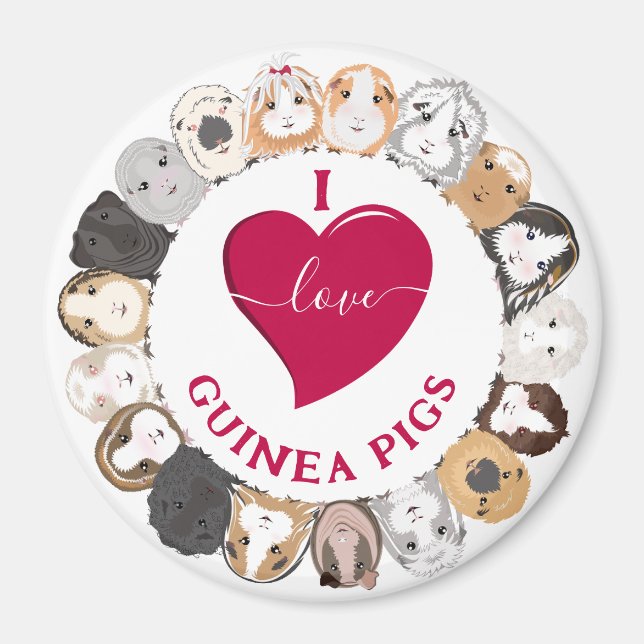 I Liebe Guinea Schweine Magnet (Vorne)