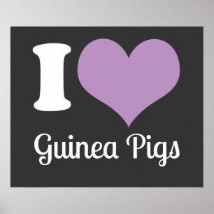 I Liebe Guinea Schweineplakat Poster