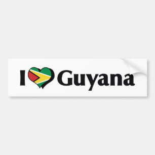 I Liebe Guyana Flag Autoaufkleber