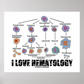I Liebe Hämatologie Blutzelllinie Poster