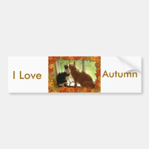 I Liebe Herbst Autoaufkleber