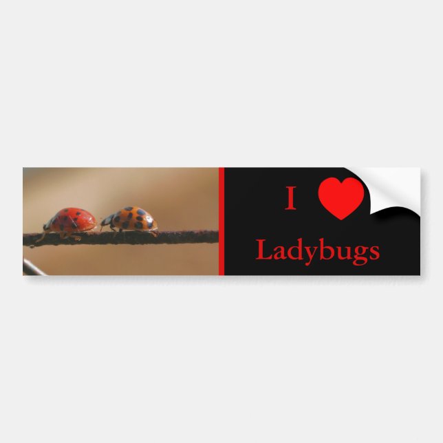 I Liebe Herz Ladybugs Natur 2 Autoaufkleber (Vorne)