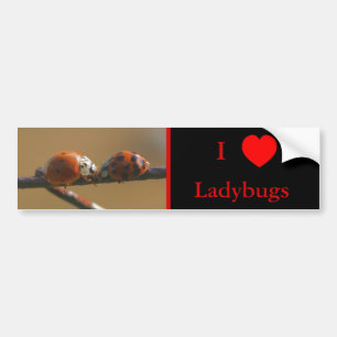 I Liebe Herz Ladybugs Natur 3 Autoaufkleber