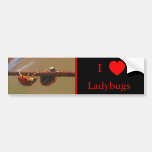 I Liebe Herz Ladybugs Natur Autoaufkleber