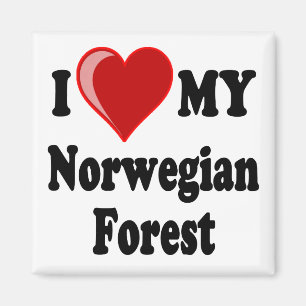 I Liebe (Herz) meine norwegische Waldkatze Magnet