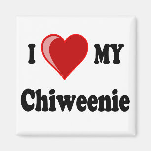 I Liebe (Herz) My Chiweenie Dog Magnet
