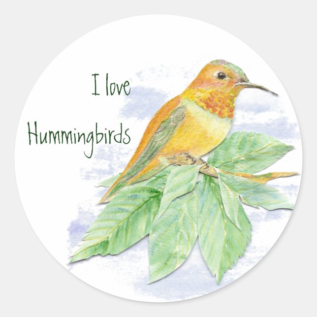 I Liebe Hummingbirds, Original Watercolor Bird Runder Aufkleber (Vorderseite)