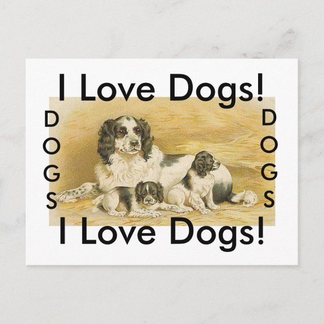 I Liebe Hunde Postkarte (Vorderseite)