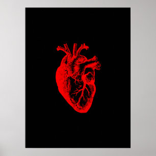 I Liebe / I Herzanatomie Poster
