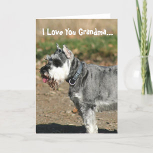 I Liebe Ihr Grandma Schnauzer Hundegruß Karte