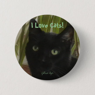 I Liebe-Katzen! Button