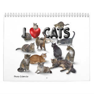 I Liebe Katzen 😻 Kalender