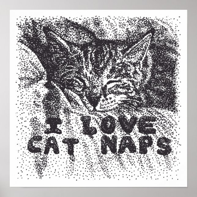 I Liebe Katzen Nickerchen, Katze schlafen Poster (Vorne)