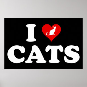 I Liebe Katzen Poster