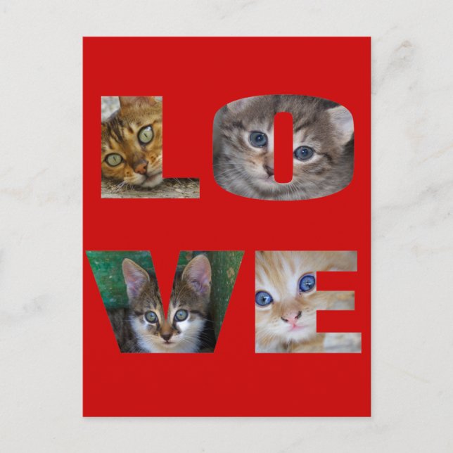 I Liebe Katzen Postkarte (Vorderseite)