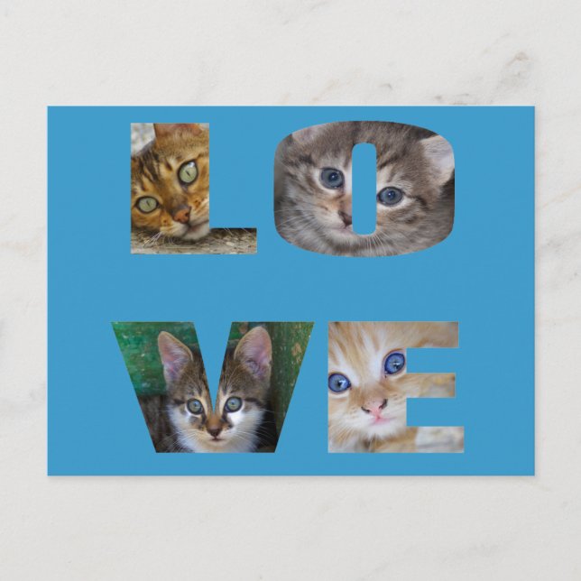 I Liebe Katzen Postkarte (Vorderseite)