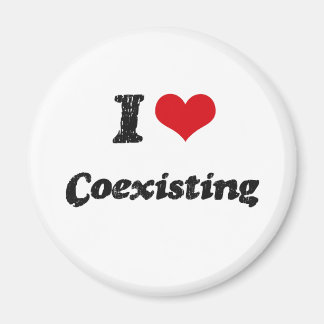 I Liebe Koexistenz Magnet
