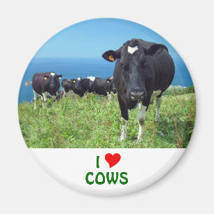 I Liebe-Kühe Magnet