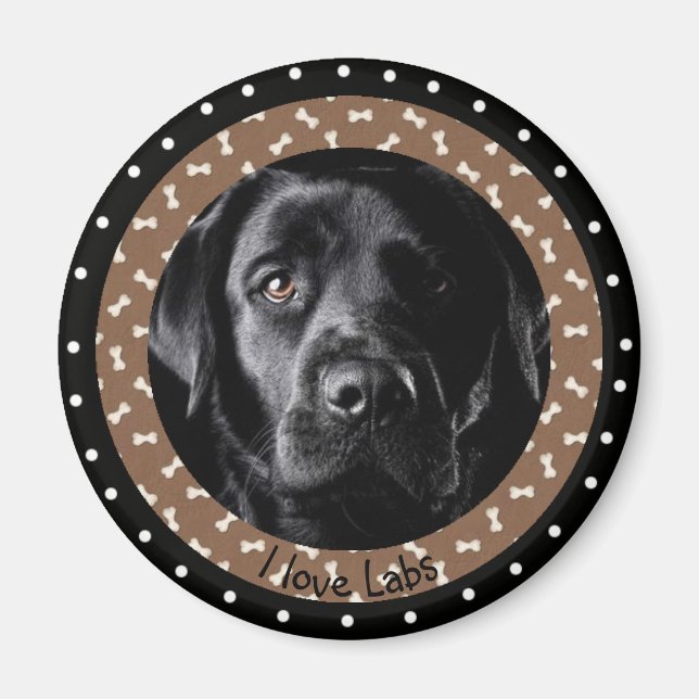 I Liebe Labradors Magnet (Vorne)