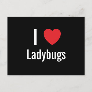 I Liebe Ladybugs Postkarte