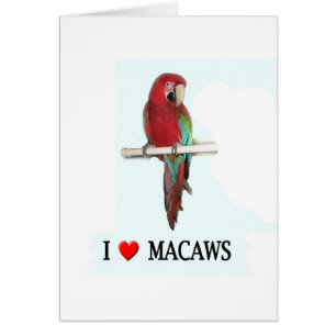I Liebe Macaws