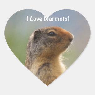 I Liebe Marmots Wildlife Foto Heart Sticker