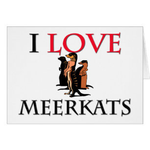 I Liebe Meerkats