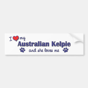 I Liebe mein australischer Kelpie (weiblicher Autoaufkleber