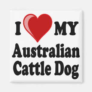 I Liebe mein australischer Vieh-Hund Magnet