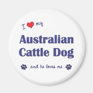 I Liebe mein australischer Vieh-Hund (männlicher Magnet