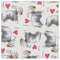I Liebe mein bärtiger Collie