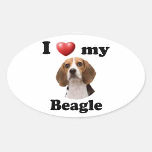 I Liebe mein Beagle Ovaler Aufkleber
