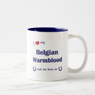 I Liebe mein belgischer Warmblood (weibliches Zweifarbige Tasse