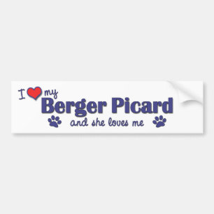 I Liebe mein Berger Picard (weiblicher Hund) Autoaufkleber