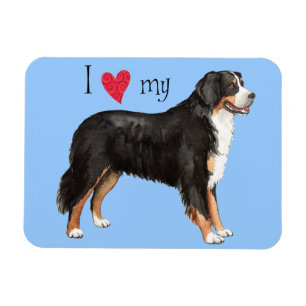 I Liebe mein Berner Hund Magnet