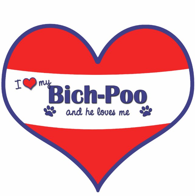 I Liebe mein Bich-Poo (männlicher Hund) Fotoskulptur Ornament (Vorne)