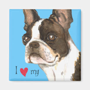 I Liebe mein Boston-Terrier Magnet