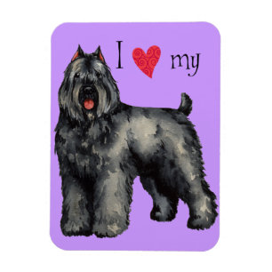 I Liebe mein Bouvier Magnet
