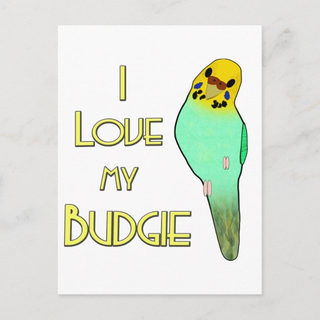 I Liebe mein Budgie Postkarte (Vorderseite)