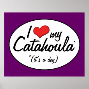 I Liebe mein Catahoula (es ist ein Hund) Poster