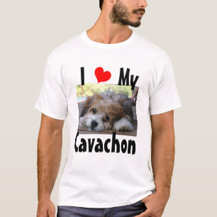 I Liebe mein Cavachon T-Shirt