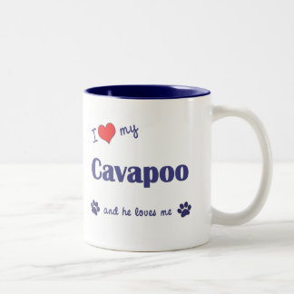 I Liebe mein Cavapoo (männlicher Hund) Zweifarbige Tasse