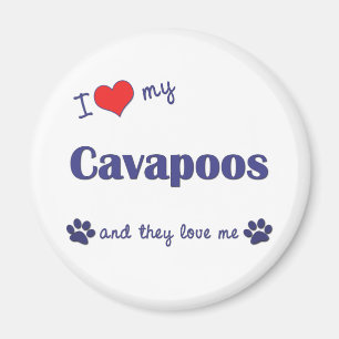 I Liebe mein Cavapoos (mehrfache Hunde) Magnet