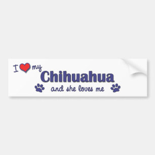 I Liebe mein Chihuahua (weiblicher Hund) Autoaufkleber
