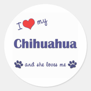 I Liebe mein Chihuahua (weiblicher Hund) Runder Aufkleber