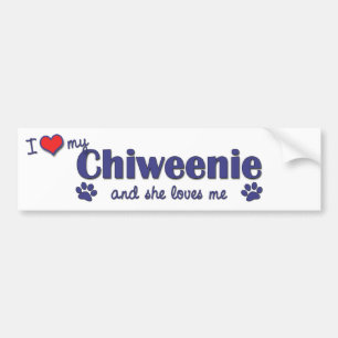 I Liebe mein Chiweenie (weiblicher Hund) Autoaufkleber