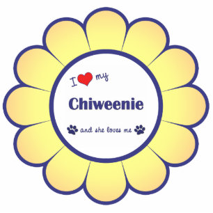 I Liebe mein Chiweenie (weiblicher Hund) Fotoskulptur Ornament