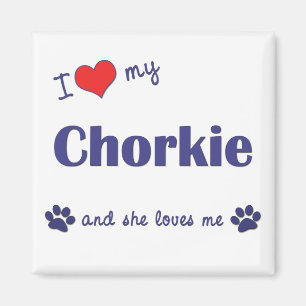 I Liebe mein Chorkie (weiblicher Hund) Magnet