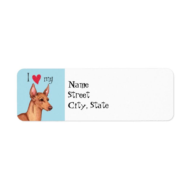 I Liebe mein Cirneco dell'Etna (Vorne)