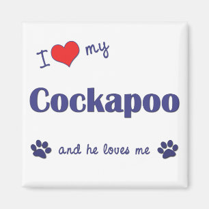 I Liebe mein Cockapoo (männlicher Hund) Magnet